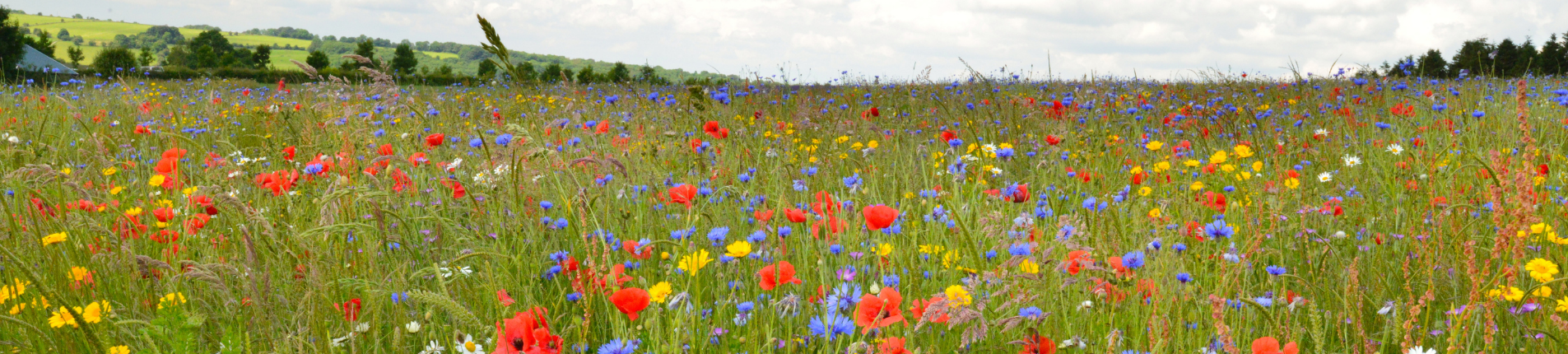 Tudor Environmental - Preferred Supplier for the Grounds Maintenance Industry